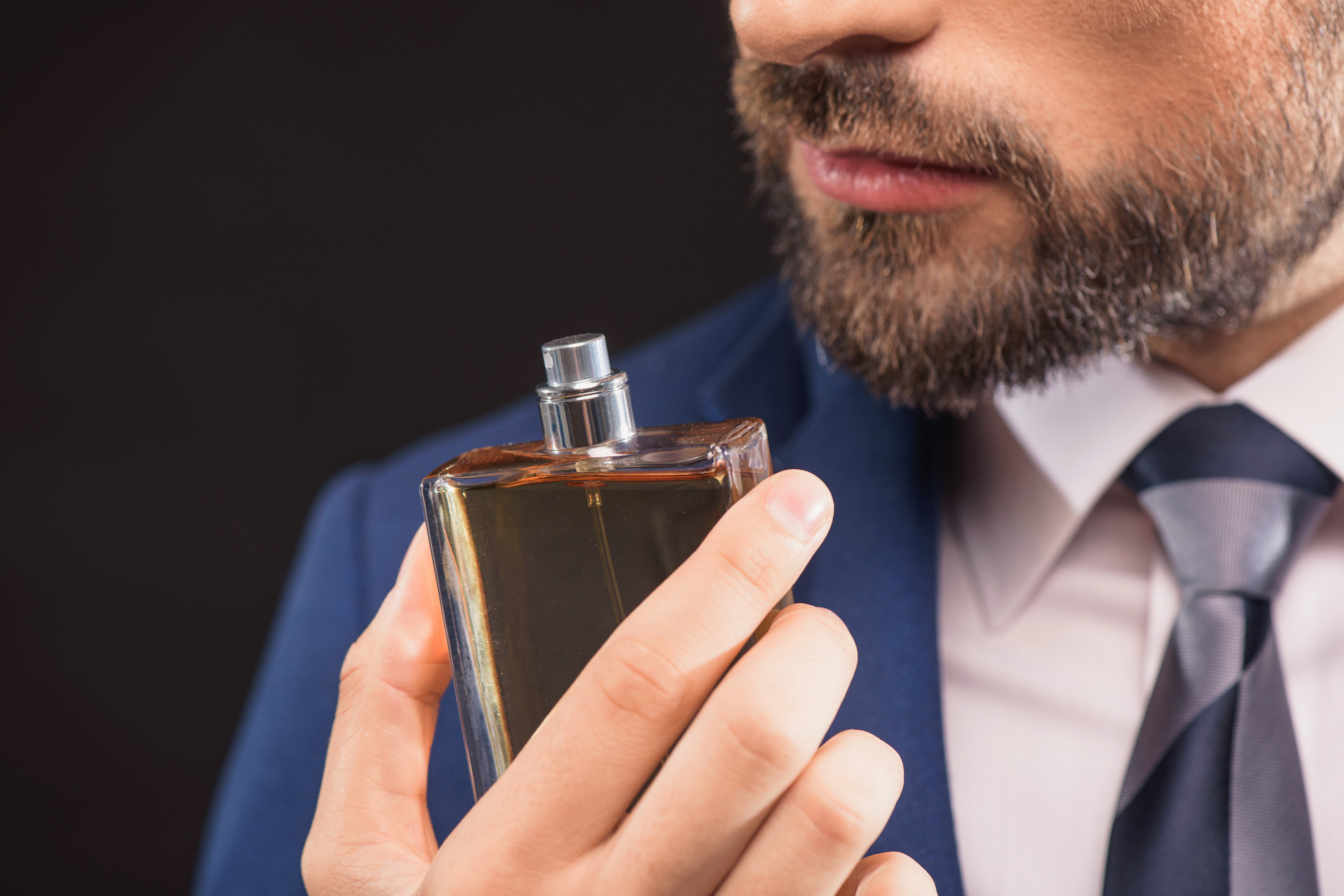 Close up of bearded man is smelling cologne with pleasure. He is standing in suit. Isolated
