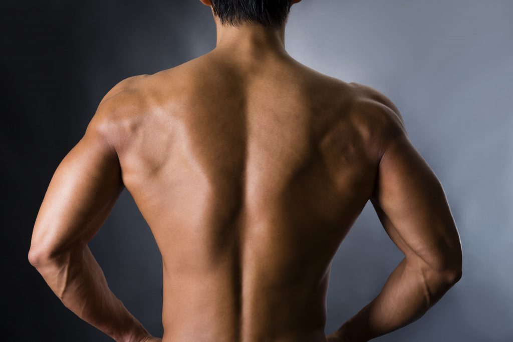 テストステロンの効果|男らしさを上げるホルモン。筋肉増強との関係性を解説 - メンズファッション研究所|KASHI KARI(カシカリ)