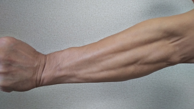 上腕と前腕の鍛え方まとめ 腕の筋肉をつける効果的なメニューをご紹介